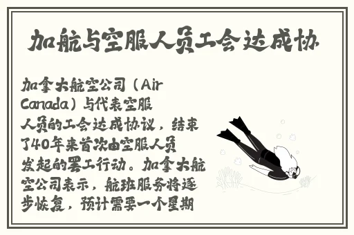 老狼二区忘忧草欢迎您大豆